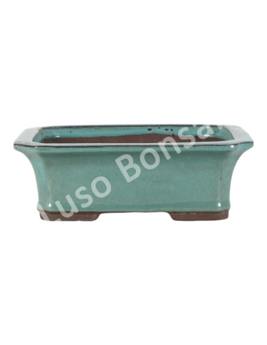 Luso Bonsai l Pot by Bonsai