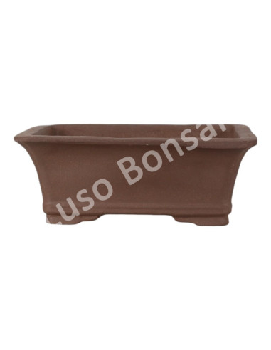 Luso Bonsai l Pot by Bonsai