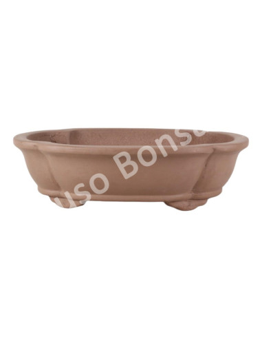 Luso Bonsai l Pot by Bonsai