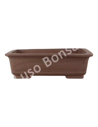 Luso Bonsai l Pot by Bonsai