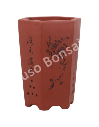 Luso Bonsai l Vase par Bonsai