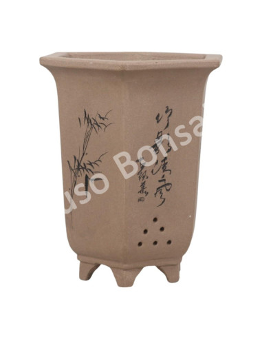 Luso Bonsai l Vase par Bonsai