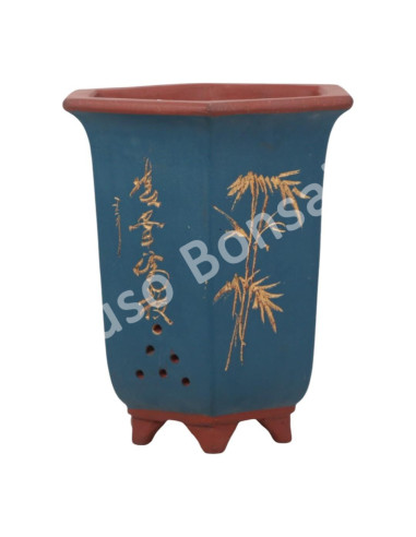 Luso Bonsai l Pot by Bonsai