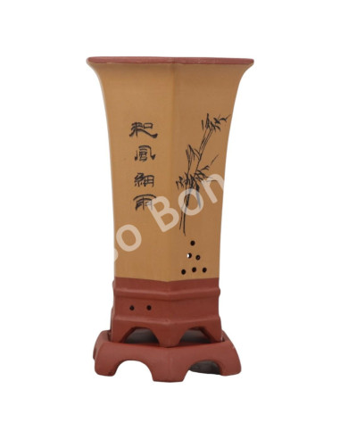 Luso Bonsai l Pot by Bonsai