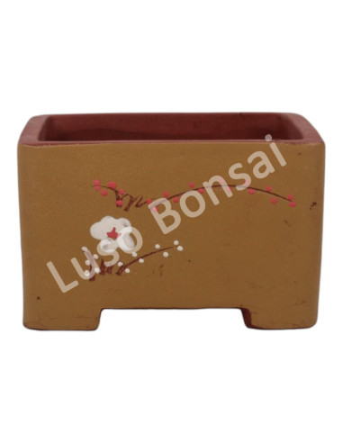 Luso Bonsai l Pot by Bonsai