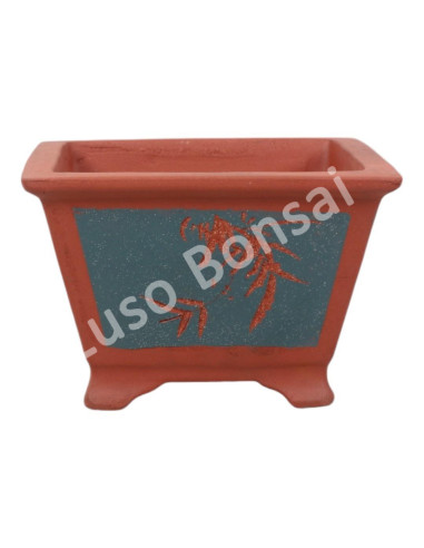 Luso Bonsai l Pot by Bonsai