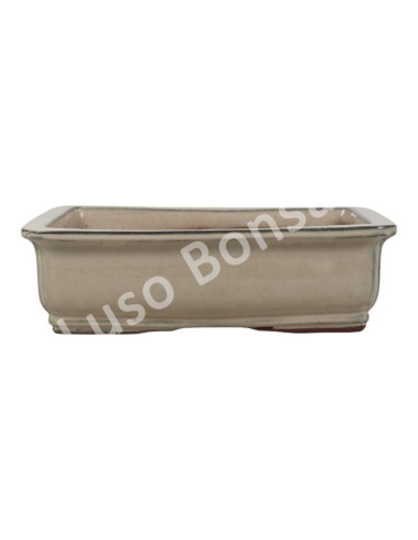 Luso Bonsai l Pot by Bonsai