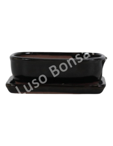 Luso Bonsai l Pot by Bonsai