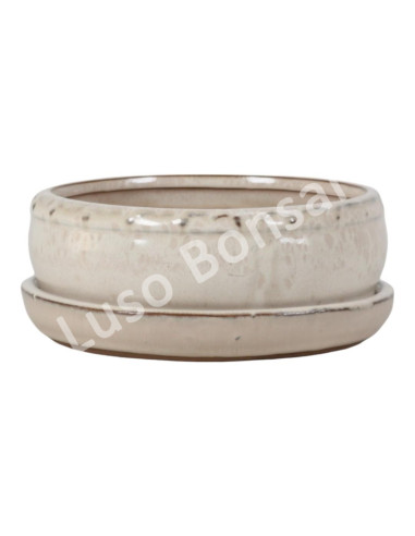 Luso Bonsai l Pot by Bonsai