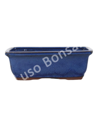 Luso Bonsai l Pot by Bonsai