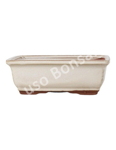 Luso Bonsai l Pot by Bonsai