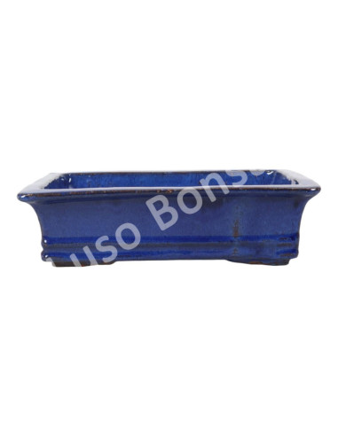 Luso Bonsai l Pot by Bonsai