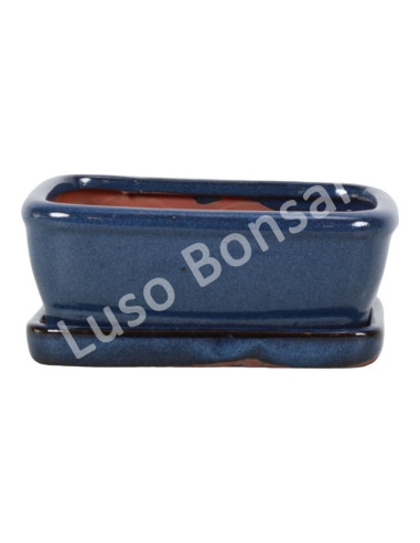 Luso Bonsai l Pot by Bonsai