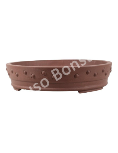 Luso Bonsai l Pot by Bonsai