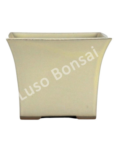 Luso Bonsai l Vase par Bonsai