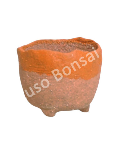 Luso Bonsai l Vaso de Bonsai