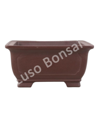 Luso Bonsai l Pot by Bonsai