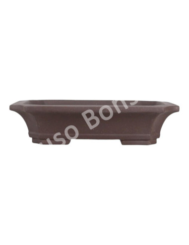 Luso Bonsai l Pot by Bonsai